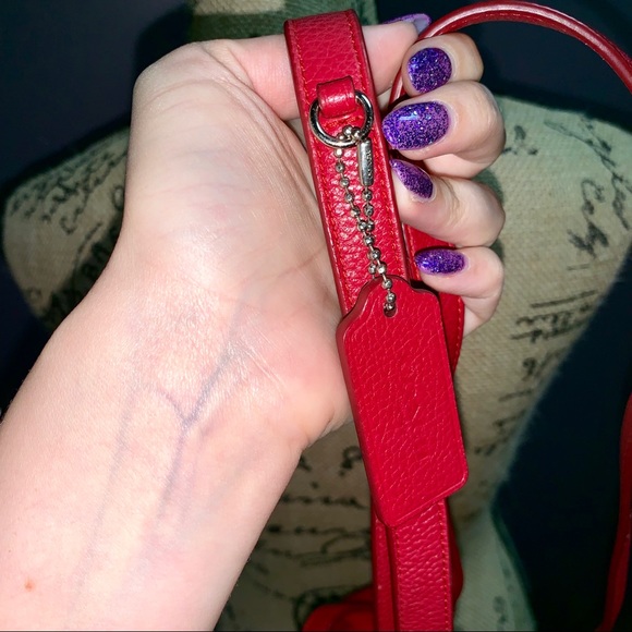 ❌SOLD❌ - Picture 4 of 8